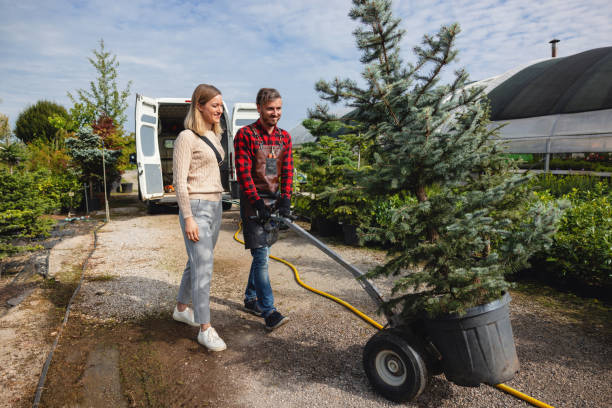 Enosburg Falls, VT Tree Services Company